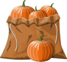 Fresh pumpkin in canvas bag png