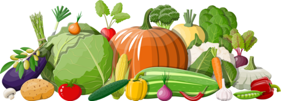 Various vegetables set png