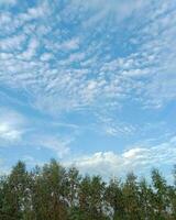 The Beauty of Sky photo