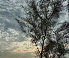 Sunset view in sea beach photo