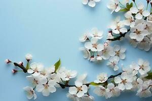 AI generated Blossom beauty White flowering branches create a stunning spring border photo