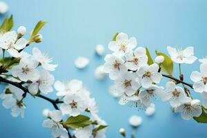 AI generated Blossom beauty White flowering branches create a stunning spring border photo