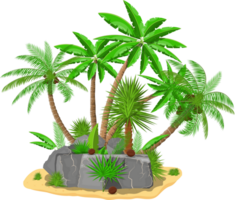 Tropical green palm and stones png