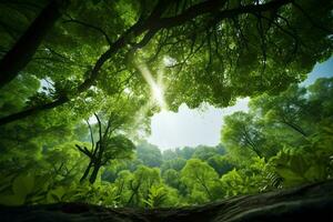 AI generated Canopy view Gazing upward at the lush green tops of trees photo