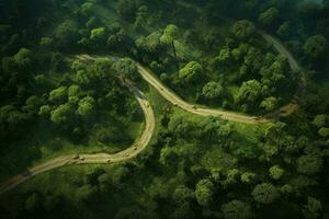 ai generado aéreo ver de un la carretera en un verde bosque en el mañana, un aéreo ver capturas un bosque y la carretera rodeado por naturaleza, ai generado foto