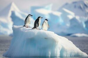 AI generated Gentoo penguins on ice floe, Antarctic Peninsula, Antarctica, Chinstrap penguins, Pygoscelis antarctica, on an iceberg off the South Shetland Islands, AI Generated photo