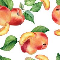 Fresh nectarines whole and half watercolor seamless pattern isolated on white background. Ripe fruits peach and leaves. Apricot hand drawn. Design element for package, textile, wrapping paper, fabric vector