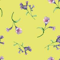 Lungwort medicinal plant watercolor seamless pattern isolated on yellow background. Pulmonaria officinalis purple useful flower hand drawn. Design for label, package, textile, wrapping vector