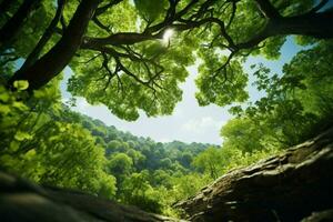 AI generated Upward gaze Enjoying the view of green tree canopies above photo