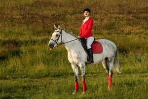 el amazona en un rojo caballo. caballo equitación. caballo carreras. jinete en un caballo. foto