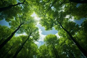 AI generated Tree heights Observing the green tops of trees from below photo