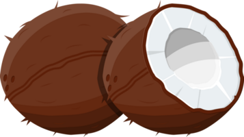 Ripe coconuts and half coconut on white png