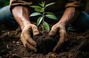 ai generado árbol plantador en guantes plantando foto