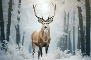 ai generado majestuoso soledad ciervo en un invierno bosques nieve cubierto campo foto