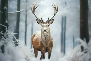 ai generado majestuoso soledad ciervo en un invierno bosques nieve cubierto campo foto