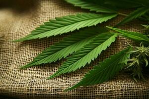 AI generated Natural fiber Cannabis leaves against a background of hemp fabric photo