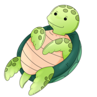 mer tortue mignonne dessin animé mer animal ensemble png