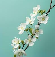 AI generated white blossoms on green background photo