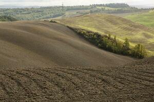 Harvested Fields and meadows landscape in Tuscany, Italy. Wavy country scenery at autumn sunset. Arable land ready for the agricultural season. photo