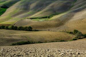 Harvested Fields and meadows landscape in Tuscany, Italy. Wavy country scenery at autumn sunset. Arable land ready for the agricultural season. photo