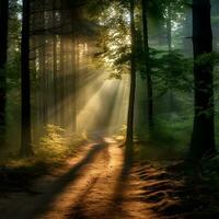 ai generado un bosque sendero a amanecer bañado en un cálido, atractivo brillo, vientos sus camino mediante el imponente conífero arboles el del sol rayos filtrar mediante el árboles, fundición largo oscuridad foto