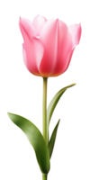 ai gerado lindo Rosa tulipa isolado png