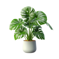 AI generated Lush Green Monstera Plant in White Pot png