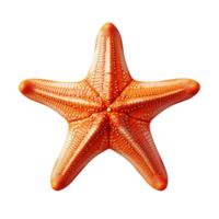 AI generated Vibrant Orange Starfish png