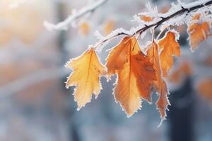 AI generated Autumn leaves on a branch covered with hoarfrost and snow, Beautiful frozen branch with orange and yellow maple leaves in the forest, AI Generated photo