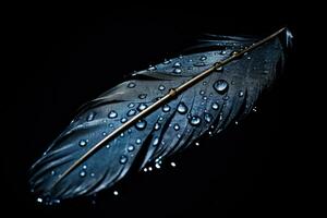 AI generated Feather of a bird with water drops on a black background, Beautiful feather with water drops on a black background, close-up, AI Generated photo