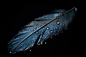 ai generado pluma de un pájaro con agua gotas en un negro fondo, hermosa pluma con agua gotas en un negro fondo, de cerca, ai generado foto