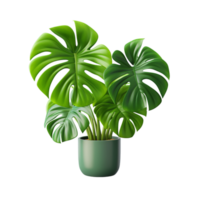 AI generated Lush Green Monstera Plant Green Pot png