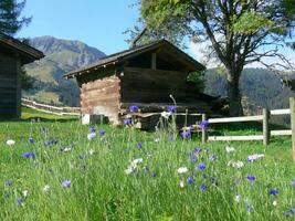 a wooden fence photo