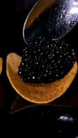 Luxurious appetizer of quail eggs with a paste of squid, shrimp and black caviar on potato and cheese chips video