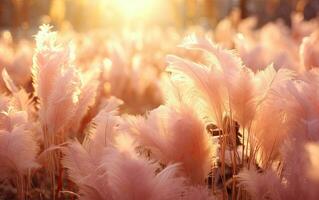 Template background with dried flowers in color of the year 2024 Peach Fuzz photo