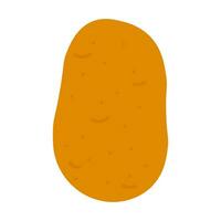 Potato hand drawn colored isolated icon, Scalable print ready vector illustration in trendy flat style design.