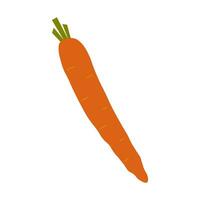 Carrot colored hand drawn isolated icon, Scalable print ready vector illustration in trendy flat style design.