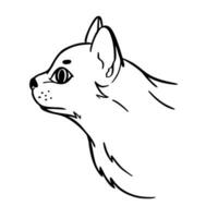 Cat. Hand drawn style. Sketch vector illustration isolated on a white background