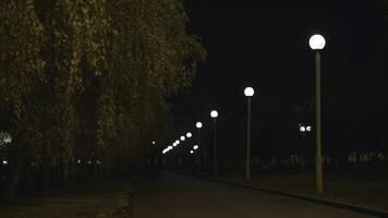 Empty street at night in the light of street lamp. Stock footage. Street lights illuminate the trees and sidewalk. photo