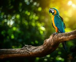 AI generated A majestic macaw posing on a tree trunk, with its vibrant blue and green feathers shining photo