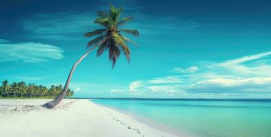 ai generado un palma árbol a el playa playa foto