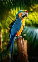 AI generated A majestic macaw posing on a tree trunk, with its vibrant blue and green feathers shining photo