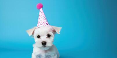 ai generado blanco perro en rosado fiesta sombrero en azul antecedentes foto