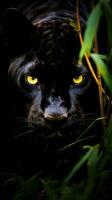AI generated A sleek and powerful black panther prowls through the underbrush photo