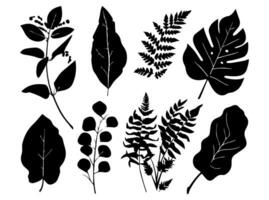 Set of black silhouettes of leaves and flowers. Vector illustration.