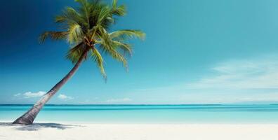 ai generado un imagen de un palma árbol en un blanco arenoso playa foto