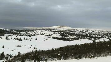 Aerial from the top of snowy mountain pines in the middle of the winter. Shot. Rich winter spirit photo