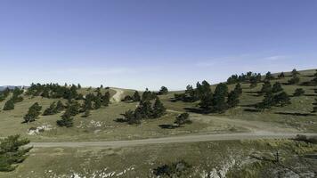 Top view of field with rural road and car. Shot. Panoramic view of blue clear sky and yellow field with green trees photo