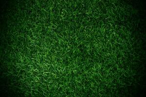 Green grass texture background grass garden concept used for making green background football pitch, Grass Golf, green lawn pattern textured background...... photo