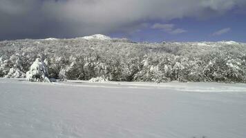 fantástico invierno paisaje de alto montaña y Nevado bosque en nublado, azul cielo antecedentes. disparo. soleado día en blanco, invierno rocas y arboles cubierto con nieve en contra brillante cielo. foto